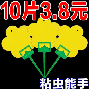 花型诱虫板强力双面粘虫板小黑飞粘虫纸家用黄色果蝇诱虫板诱捕器