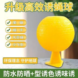 果蝇诱捕器小飞虫灭杀神器室内去除飞虫克星厨房蠓虫粘虫球诱苍蝇