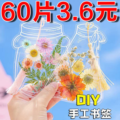 透明干花制作夹树叶标本植物diy手工收集册标本册工具材料包书签