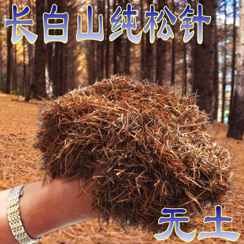 兰花松针土通用天然养花腐熟松针图片