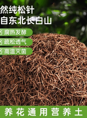 兰花松针土橡树叶腐叶腐熟松针多肉君子兰专用天然营养腐殖土花土