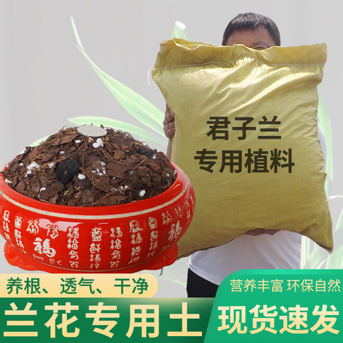 腐叶土君子兰专用土六种有机植料