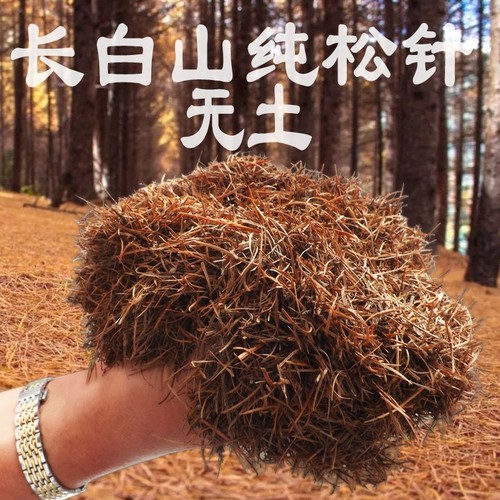 养花专用松针橡树叶腐叶种植土腐熟松针多肉君子兰绿萝无土纯松针