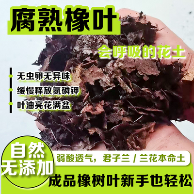 天然腐熟纯橡树叶君子兰专用有机腐叶土粉碎叶大叶兰花通用营养土