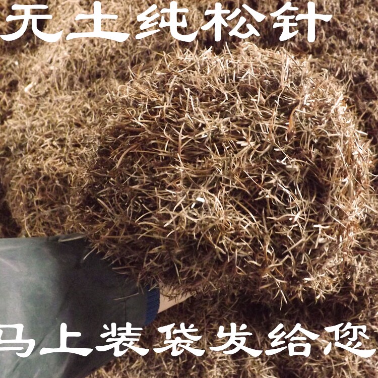 兰花松针土橡树叶腐叶腐熟松针多肉君子兰专用天然营养腐殖土花土