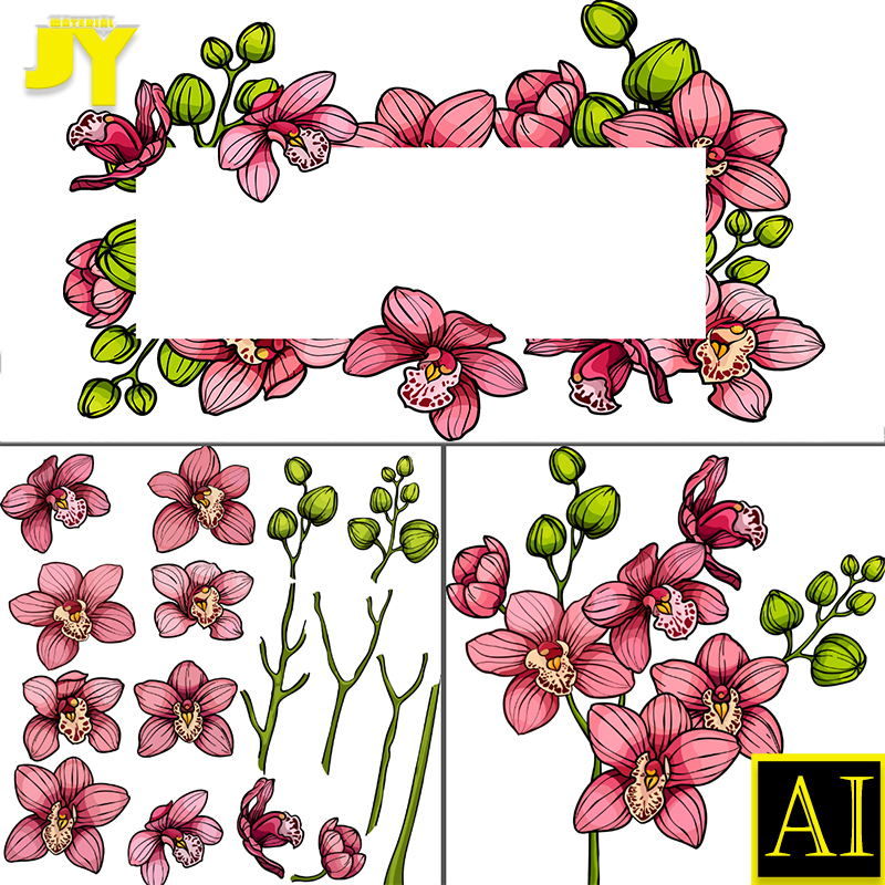 玉兰花水彩花卉植物白描线稿线描装饰包装手绘插画墙纸设计AI素材图片