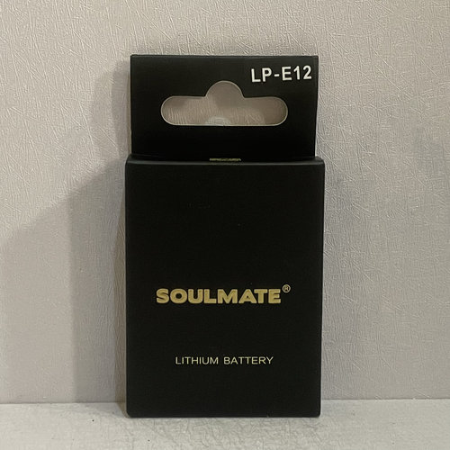 佳能LP-E12电池适用M50二代 M100 M200 SX70 100D相机M10充电器