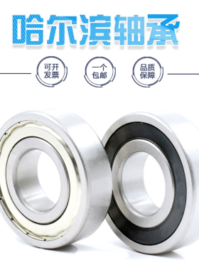 哈尔滨电机轴承6240 6244 6248 6252 ZZ  RS
