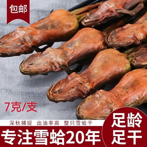 雪蛤油林蛙新鲜雪蛤干整只即食木瓜东北鲜炖线油7克每只足干孕妇