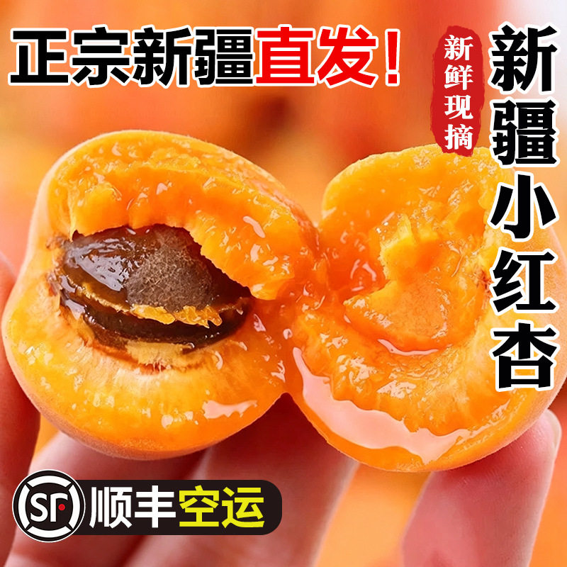 顺丰空运】新疆小红杏特级吊干杏子新鲜水果新疆直发
