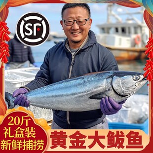特大黄金鲅鱼海鱼新鲜整箱批发马鲛鱼冷冻大鲅鱼整条礼盒