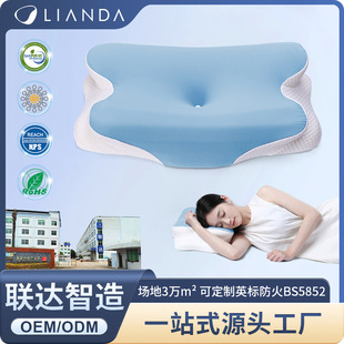 记忆棉枕头护颈椎助睡眠成人零点云感慢回弹护颈枕芯办公改善睡眠