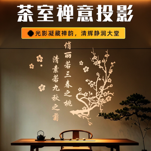 走廊背景墙图案入户射灯