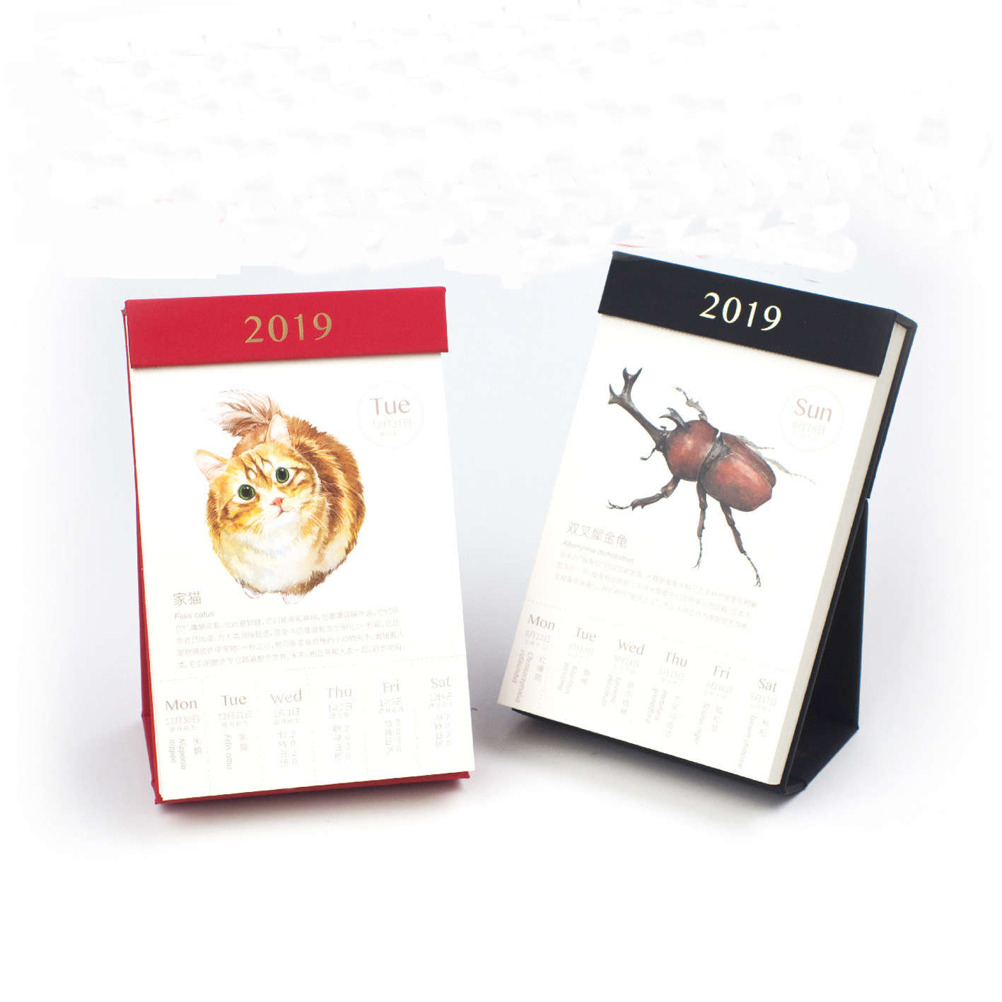 果壳物种日历2019年果壳商店万有市集物种台历周历记事台历桌历