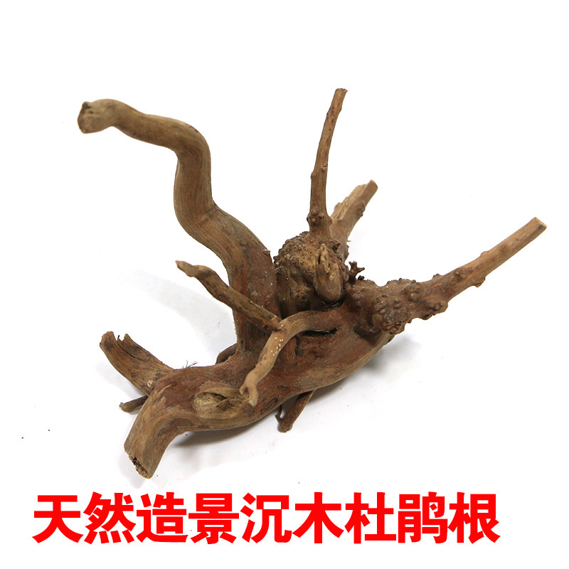 鱼缸木头造景装饰杜鹃根天然沉木莫斯树流木水草木杜鹃根树枝根雕