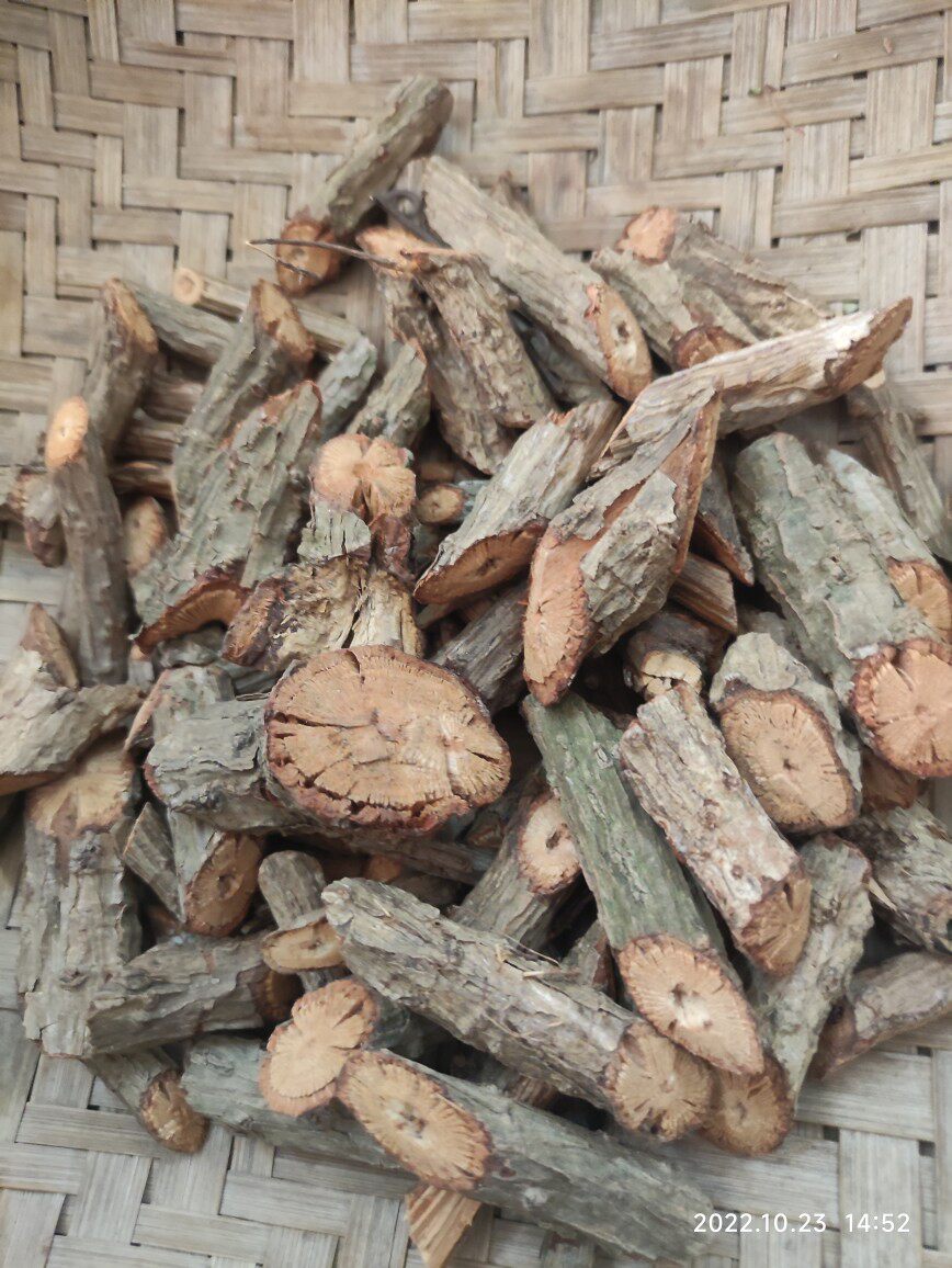 野生黄鳝藤粤西山区 老鼠牙老鼠伢老鼠稔乌口狗黑嘴狗老鼠屎