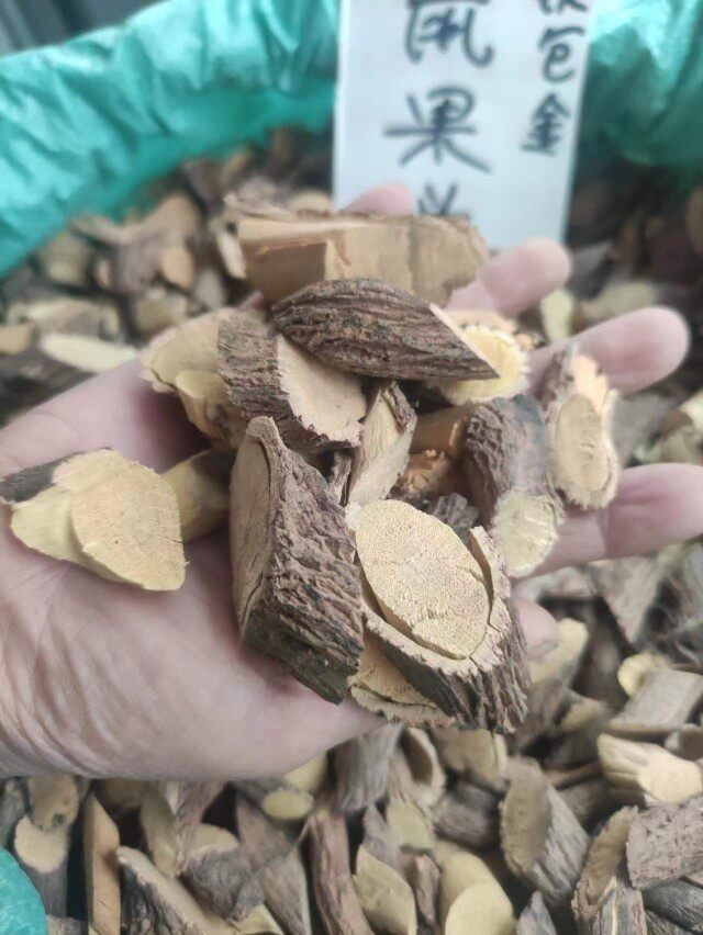 广东野生铁包金老鼠耳 老鼠果头细叶铁包金乌 中药粤西农村