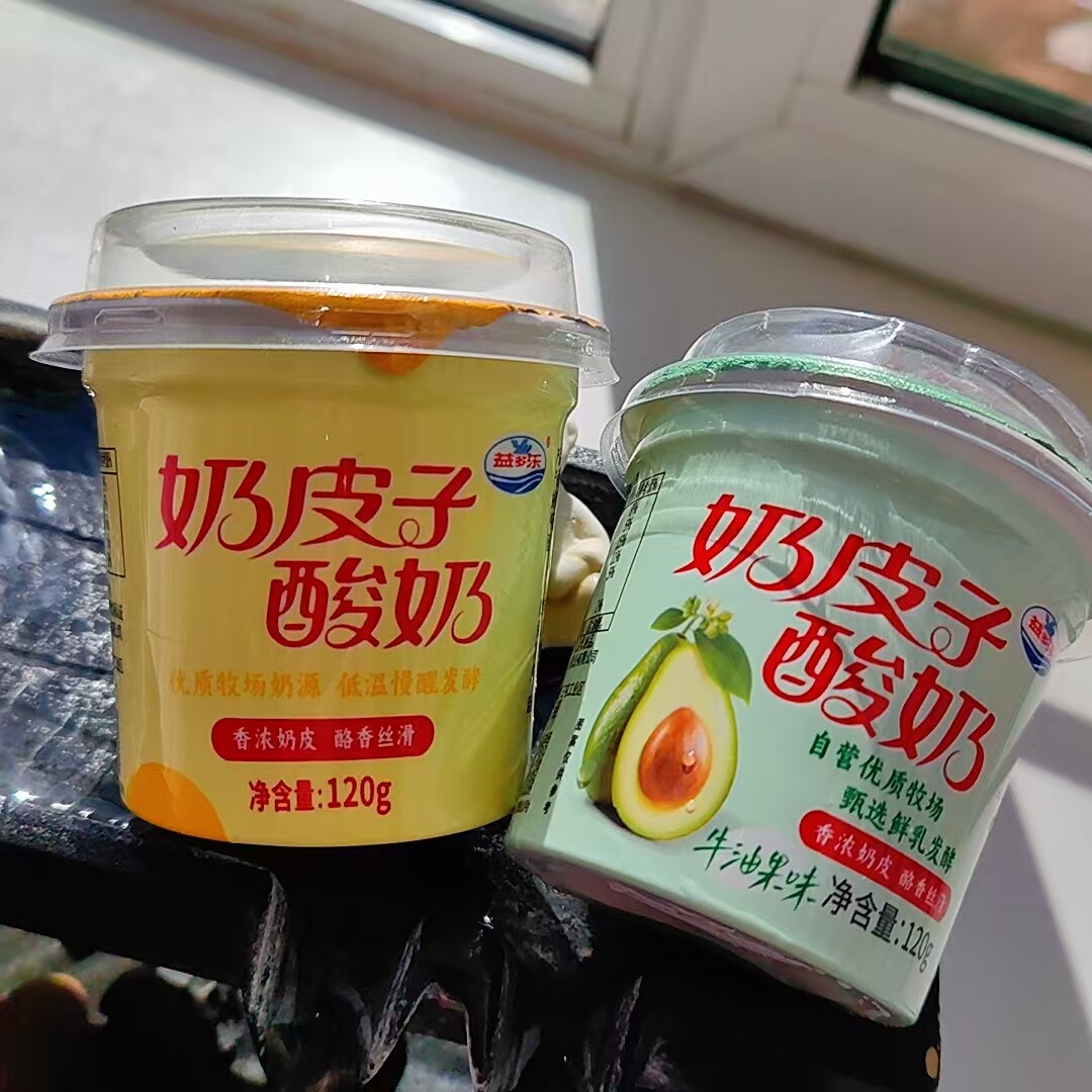 益多乐牧场奶皮子酸奶120g杯风味发酵乳辽宁锦州特产香浓奶皮酸奶