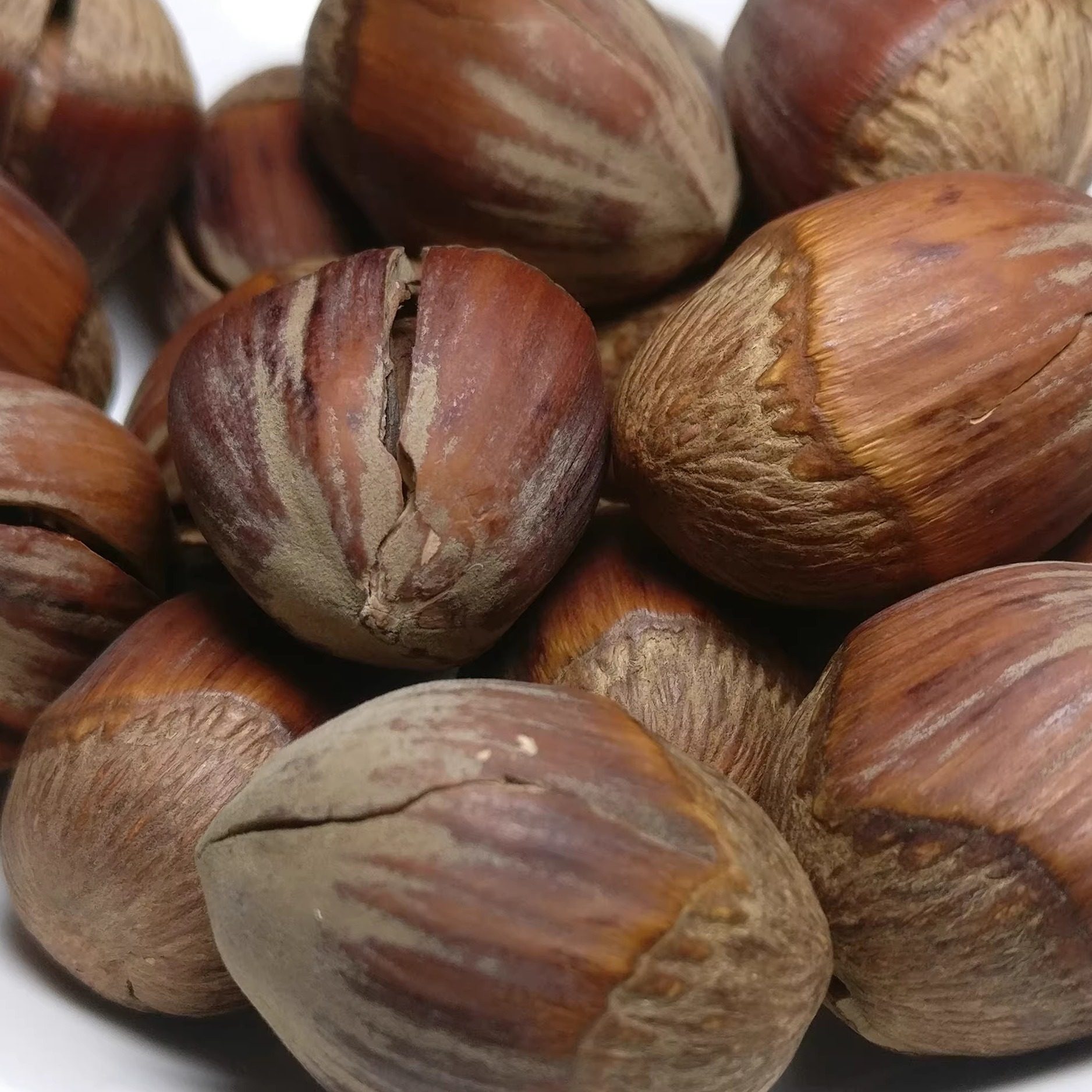 东北特产大榛子原味熟500g开口孕妇坚果新鲜薄皮榛子零食散装新货