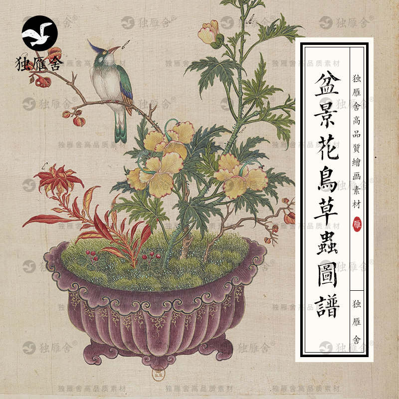 中式传统盆景花鸟草虫图册工笔花卉植物盆栽绘画临摹高清设计素材