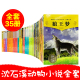 15岁儿童文学故事书籍 35册 浙江少年儿童出版 狼王梦 套装 动物小说大王沈石溪品藏书系 全套装 沈石溪动物小说品藏书系全集