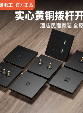 国际电工黑色法式复古工业风格黄铜拨杆开关插座面板86型民宿开关