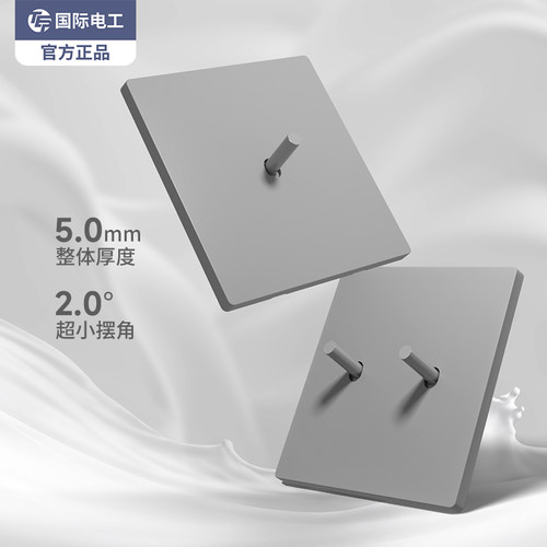 TEP国际电工哑光灰色拨杆开关