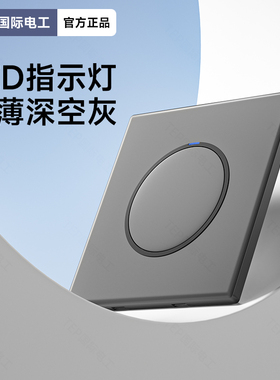 国际电工86型磨砂灰带LED灯单开单联一开1开单控墙壁开关插座面板