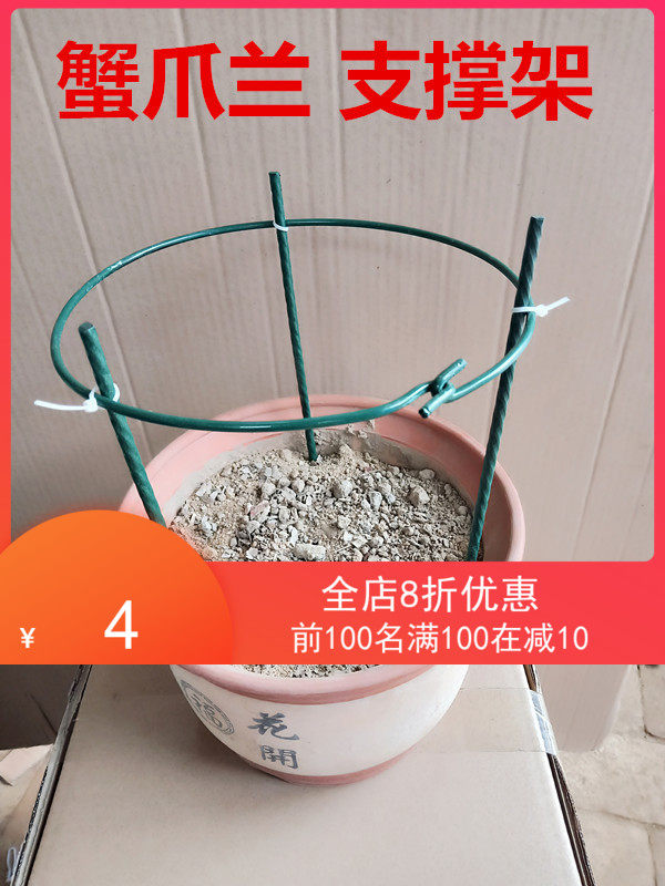 蟹爪兰蟹抓兰花环型花架固定支撑植物聚拢叶花架兰花蝴蝶兰护叶架