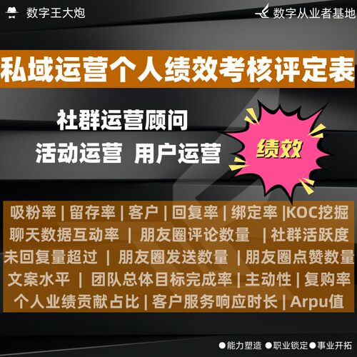 私域评估电商运营表格模板sop排期规划执行考核话术绩效方案excel