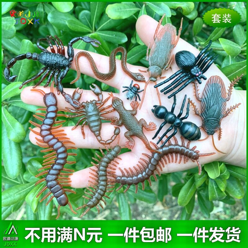 仿真小昆虫套装幼儿园儿童玩具苍蝇蝎子小蛇蟑螂整人恐怖动物模型