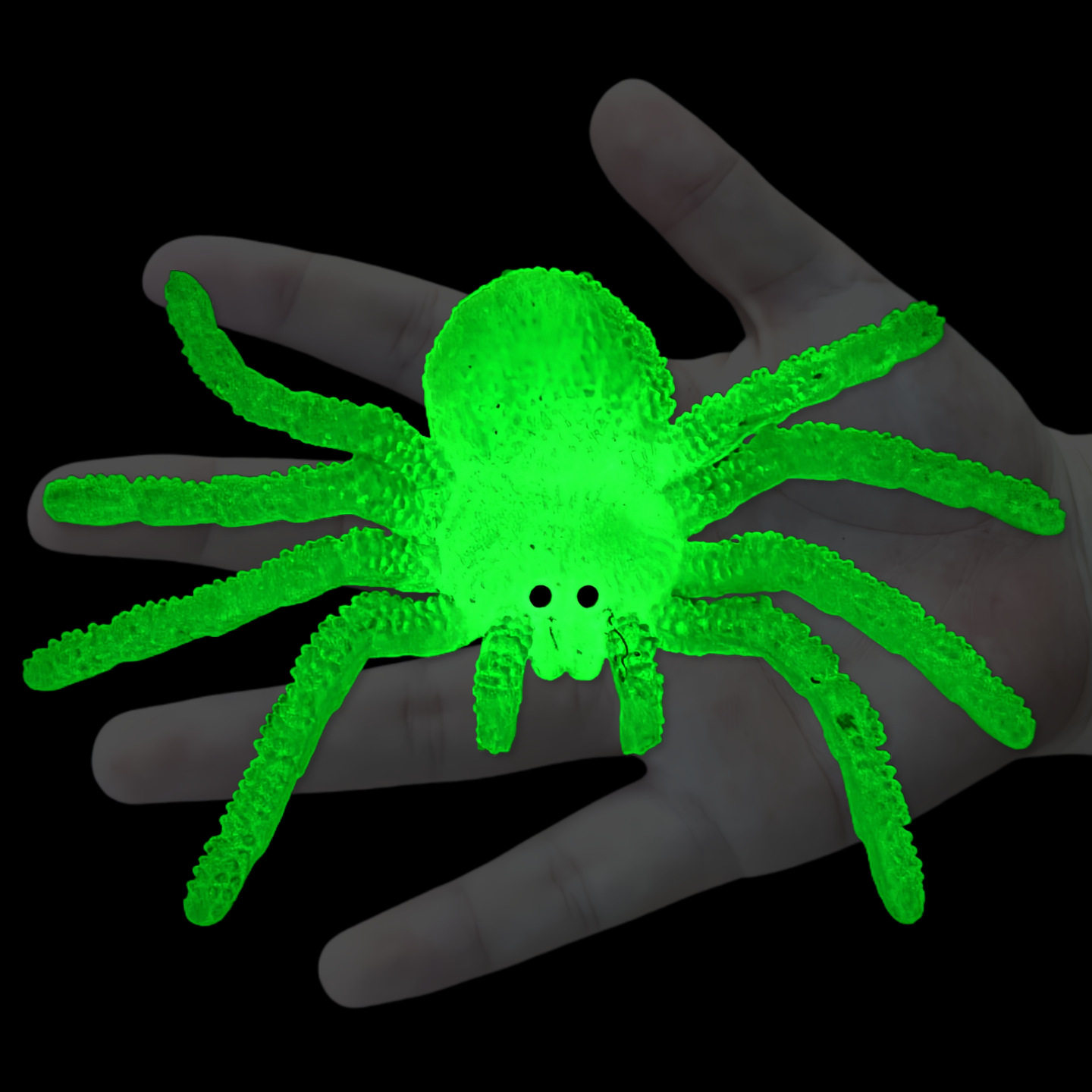 软胶仿真蜘蛛玉色夜光幼儿园儿童玩具吓人变色发光假昆虫动物模型