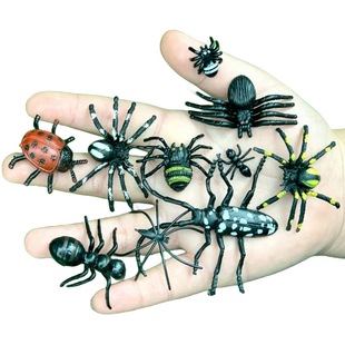 仿真天牛瓢虫大小蜘蛛蚂蚁你幼儿园儿童玩具礼品昆虫套装动物模型