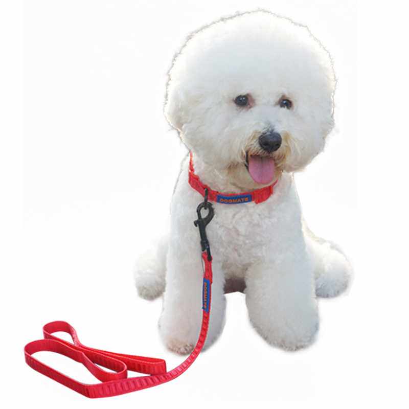 中小型犬狗狗链子宠物脖带尼龙项圈加牵引绳泰迪博美比熊金毛狗绳