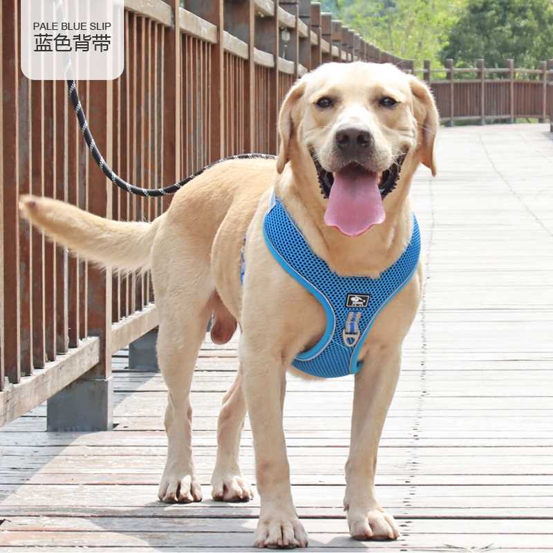 狗狗牵引绳大狗胸背带金毛拉布拉多中型大型犬狗链子遛狗绳背心式
