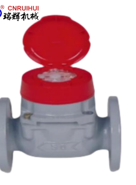 瑞辉DN40新款水平安装深灰色字轮式全UPVC塑料防腐蚀-耐酸碱水表