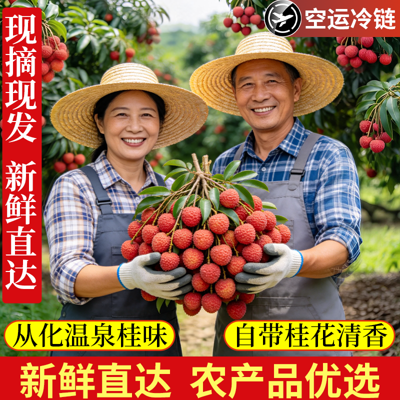 老树桂味荔枝新鲜当季水果广东从化果园五斤现摘现发冷链空运包邮