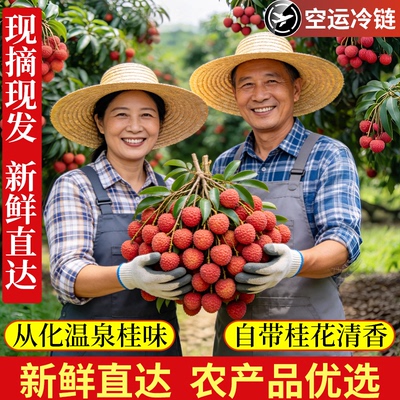 老树桂味荔枝新鲜当季水果