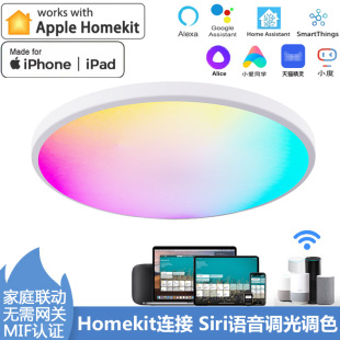 苹果手机Siri语音卧室灯HomeKit智能led吸顶灯小度小爱同学房间灯