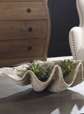 纽约下城公园进口uttermost亚特兰蒂斯海风阵阵洁白大贝壳装饰盘