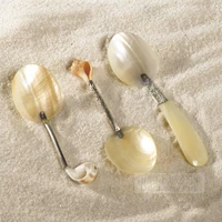 Теперь набор импортированных коллекционеров Shell Conch Palace Art Caring Retro Teaspoons Spoons в центре города, Нью -Йорк