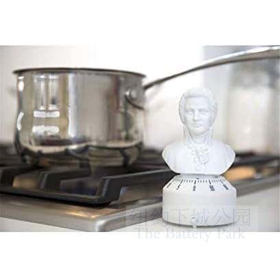 NEW YORK DOWNTOWN PARK IMPORT MOZART 60 MINUTE KITCHEN TIMER KIDS TIME MANAGER