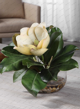 现 纽约下城公园进口uttermost仿真花清新米白玉兰花盛开在花瓶中