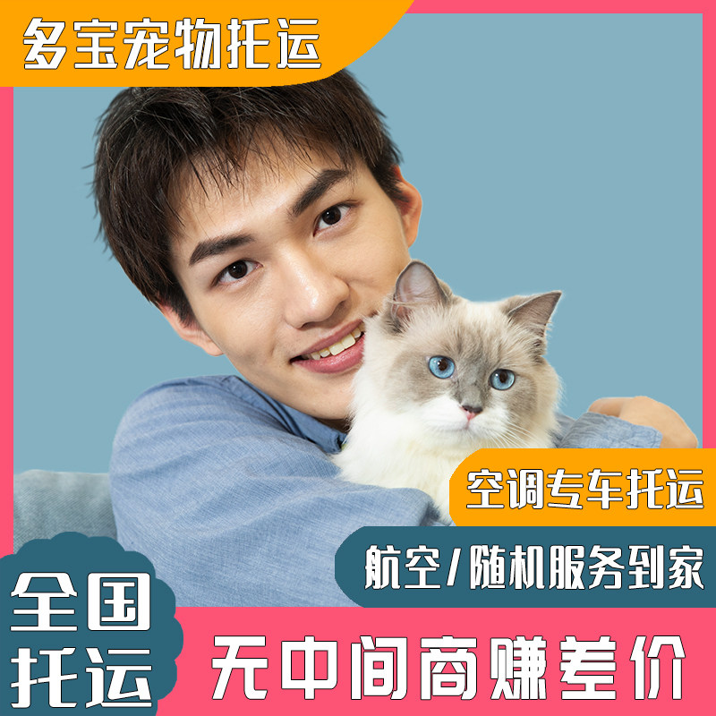 宠物托运服务全国空运猫咪狗狗国际上海广州顺风车快递邮寄猫运输