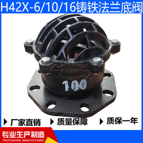H42X-6/10铸铁法兰底阀