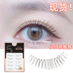 菠萝妹假睫毛女 素颜503 自然仿真浓密透明梗轻盈眼睫毛裸妆短款