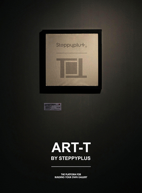 Steppyplus ART-T T恤收纳画框 家居装饰 收纳t恤折叠整理 微瑕