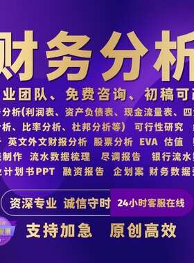 财务分析报告财务数据分析财务报表分析行业上市公司财务分析