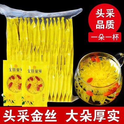 头采大花金丝皇菊100包高档菊花