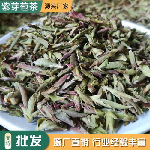 2026年新茶云南野生紫芽苞茶大雪山古树花香紫芽孢普洱茶生茶散茶